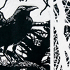 aves