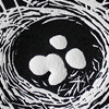 aves